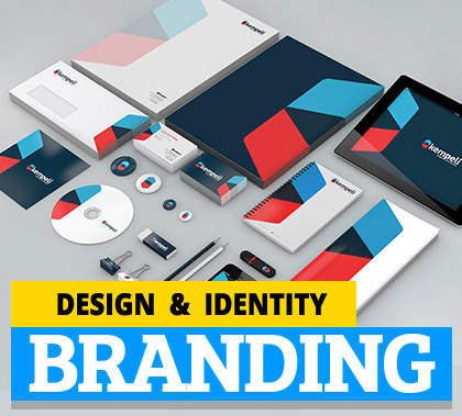 Softwares development Company in Delhi
