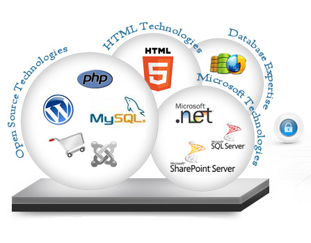Softwares development Company in Delhi